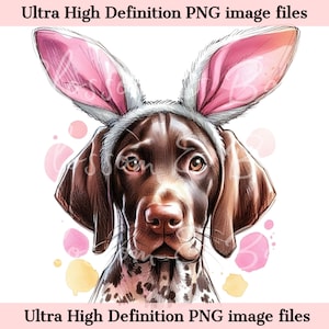 Digitaler Ostern Deutsch Kurzhaar Pointer PNG Druckbares Hundeportrait PNG - Gsp PNG - Download für Hundemama Ostertag Shirt Sublimation
