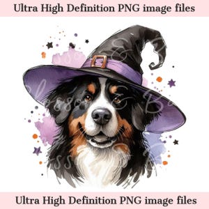 Digitaler Berner Berg Halloween Hund PNG, niedlicher Welpe PNG Herbst Hexenhund Download für Groomer und Sennenhund Besitzer Shirt Sublimation