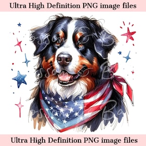 Digitaler Berner Sennenhund PNG Druckbares Hundeporträt PNG - Amerikanischer Png, Sommer Sennenhund PNG - Download für 4. Juli Sublimation
