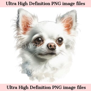 Digitale witte chihuahua PNG aquarel hond portret PNG - downloaden voor witte chihuahua hond moeder shirt sublimatie - veilig voor commercieel