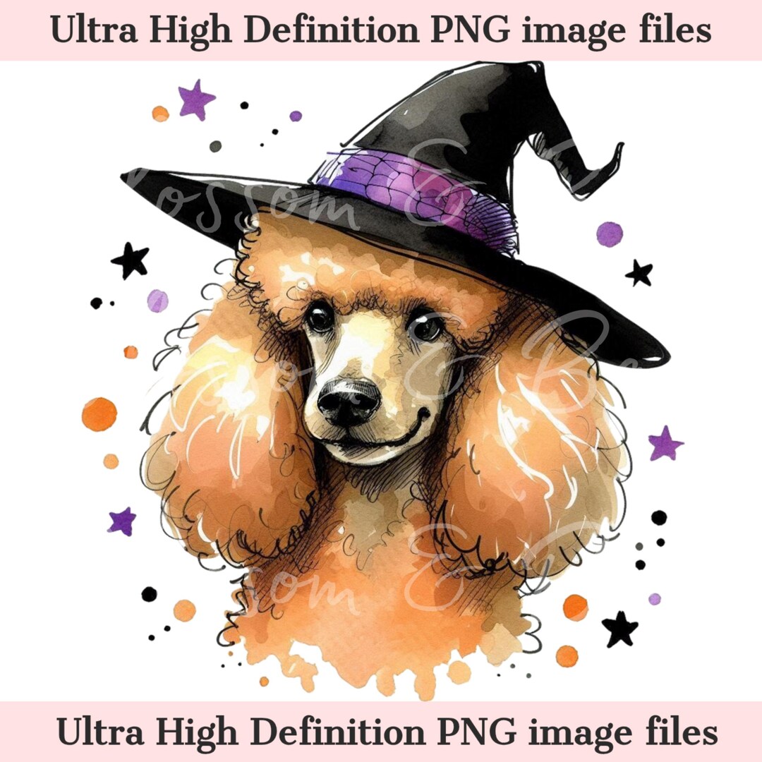Digital Standard Poodle Halloween Dog PNG, Cute Puppy PNG Autumn Witch ...