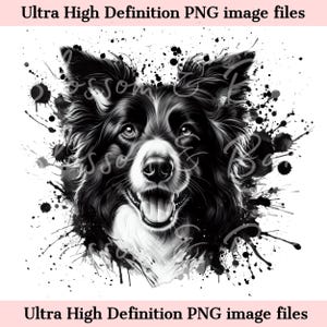 Perro Border Collie PNG - Descarga instantánea para sublimación de camisetas de perro Collie en tinta - Cachorro con grafiti PNG, retrato de perro con boceto