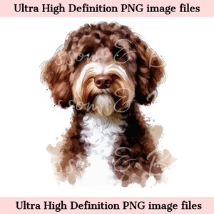 Digital Brown Doodle Dog PNG Beautiful Labradoodle PNG - Dog Art PNG - Download for Dog Mom Shirt Sublimation - Sans danger pour les entreprises