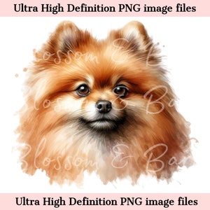 Numérique Pomeranian PNG Beautiful Spitz Dog PNG - chien Art PNG - téléchargement pour sublimation de chemise de maman de Poméranie - sans danger pour un usage commercial