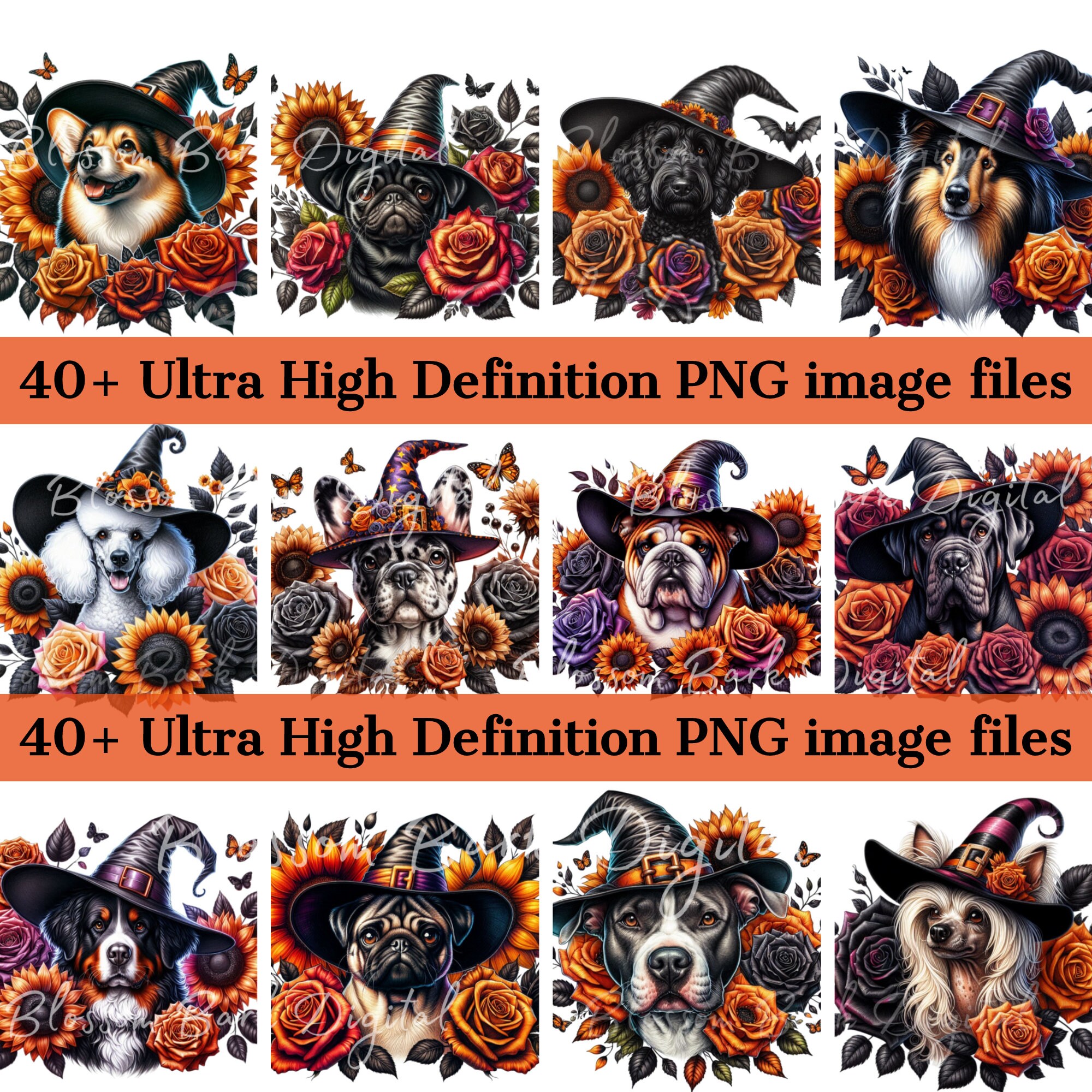 Digital Floral Halloween Dog Bundle - Dog Breed Png Bundle - Dog Witch ...