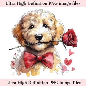 Portrait numérique de chien Goldendoodle PNG de la Saint-Valentin numérique PNG - Doodle chien PNG - Téléchargement pour chien maman Saint Valentin chemise sublimation