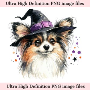 Digitale Papillon Halloween-hond png, schattige puppy png-herfst heks hond downloaden voor trimmer en papillon hondeneigenaar shirtsublimatie