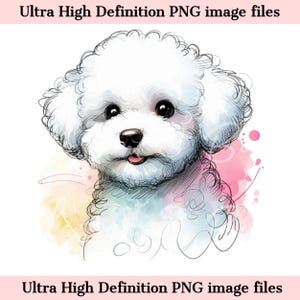 Retrato de perro acuarela PNG de bichón frisé digital - Descarga para sublimación de camiseta de mamá cachorro bichón lindo - Seguro para uso comercial