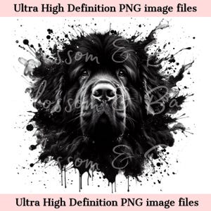 Perro Terranova PNG - Descarga instantánea para sublimación de camisetas de perro Terranova - Cachorro con grafiti PNG, retrato de perro con boceto