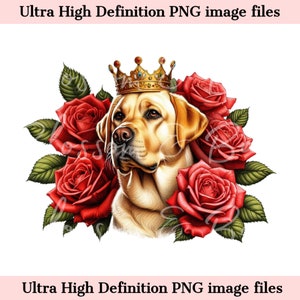 Digital Yellow Labrador PNG King Crown PNG - Lindo Labrador Retriever Perro PNG Descarga instantánea para el logotipo del peluquero de perros y regalo de sublimación