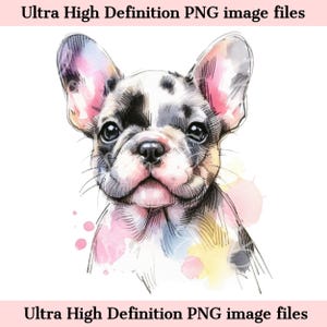 Buldogue Francês Digital PNG Aquarela Retrato de Cachorro Bulldogue Francês PNG - Baixe para Sublimação de Filhote de Bulldogue Francês Merle - Seguro para Uso Comercial