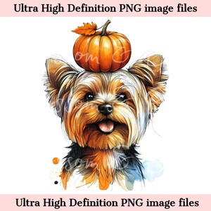 Retrato de perro de otoño PNG de Yorkshire Terrier digital - Descarga para sublimación de camiseta de calabaza de mamá de perro Yorkie lindo - Seguro para uso comercial