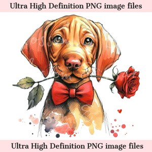 Retrato de perro Vizsla PNG imprimible digital de San Valentín, lindo Vizsla PNG: descarga para sublimación de camisetas de San Valentín con perros de caza