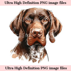 May include: A digital illustration of a brown and white German Shorthaired Pointer dog with brown eyes. The dog is looking directly at the viewer.