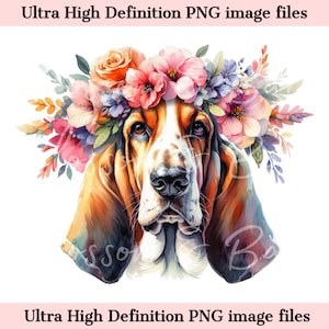 Digital Basset Hound Dog PNG Elegante acuarela perro PNG- Floral PNG - Descargar para sublimación de camisa Basset Hound - Seguro para uso comercial