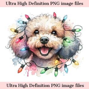 Digital - Cute Toy Poodle PNG Retrato de cachorro de Natal PNG - Download para Poodle Dog Mom Xmas Lights Christmas Poodle Dog Mom Sublimation