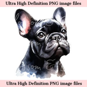 Bulldog francés digital PNG Bulldog francés negro PNG - Frenchie PNG - Descarga para sublimación de camisetas de mamá perro - Seguro para uso comercial