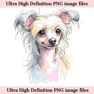 Perro crestado chino digital PNG Retrato de perro crestado en acuarela PNG - Descarga para sublimación de linda mamá cachorro crestado - Seguro para uso comercial
