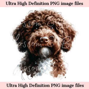 Digitaler Lagotto Romagnolo PNG Lagotto Romagnolo Hund PNG - Aquarell PNG Download für Hundemama Shirt Sublimation - Sicher für kommerziell