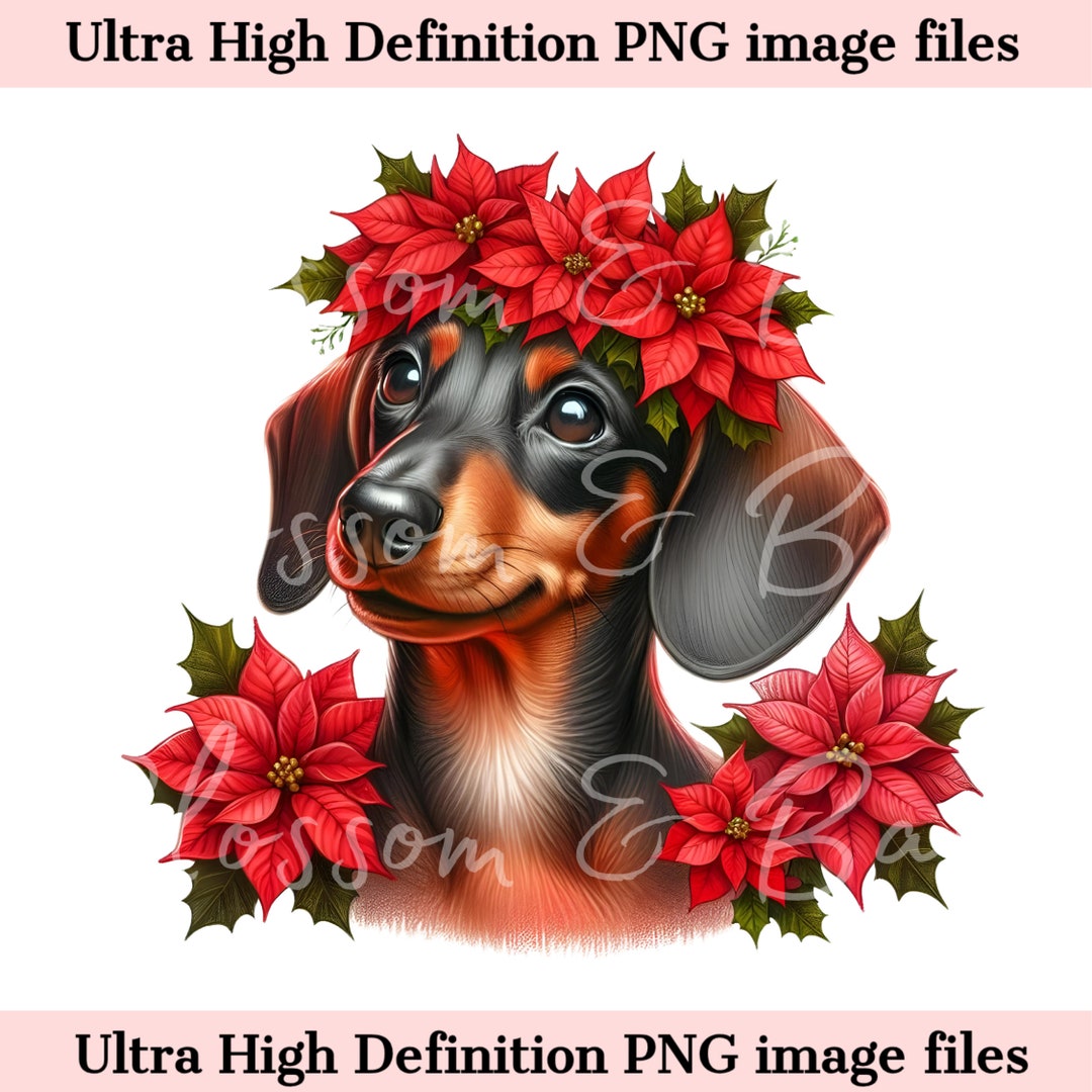 Digital Christmas Dachshund Dog PNG Holiday Dog Art - Dachshund Puppy ...