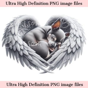 Chihuahua digital PNG Memorial de perro PNG - Retrato de mascota con alas de ángel PNG Descarga instantánea para funeral de perro ángel - Sublimación de duelo