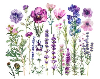 Digital - Cottagecore PNG | wildblumen Sublimations Design | Botanische png Download Datei | Sommer Blumen Natur Shirt Sublimation