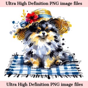 Perro de playa de acuarela Pomerania PNG digital - Descarga para sublimación de camisetas de mamá de perro de verano Pomerania, Pomerania, seguro para uso comercial