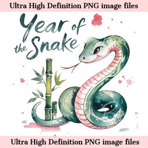 Digital - Year of the Snake PNG - Floral PNG Instant Download for Chinese New Year of the Snake and Shirt Sublimation - Lunar New Year png