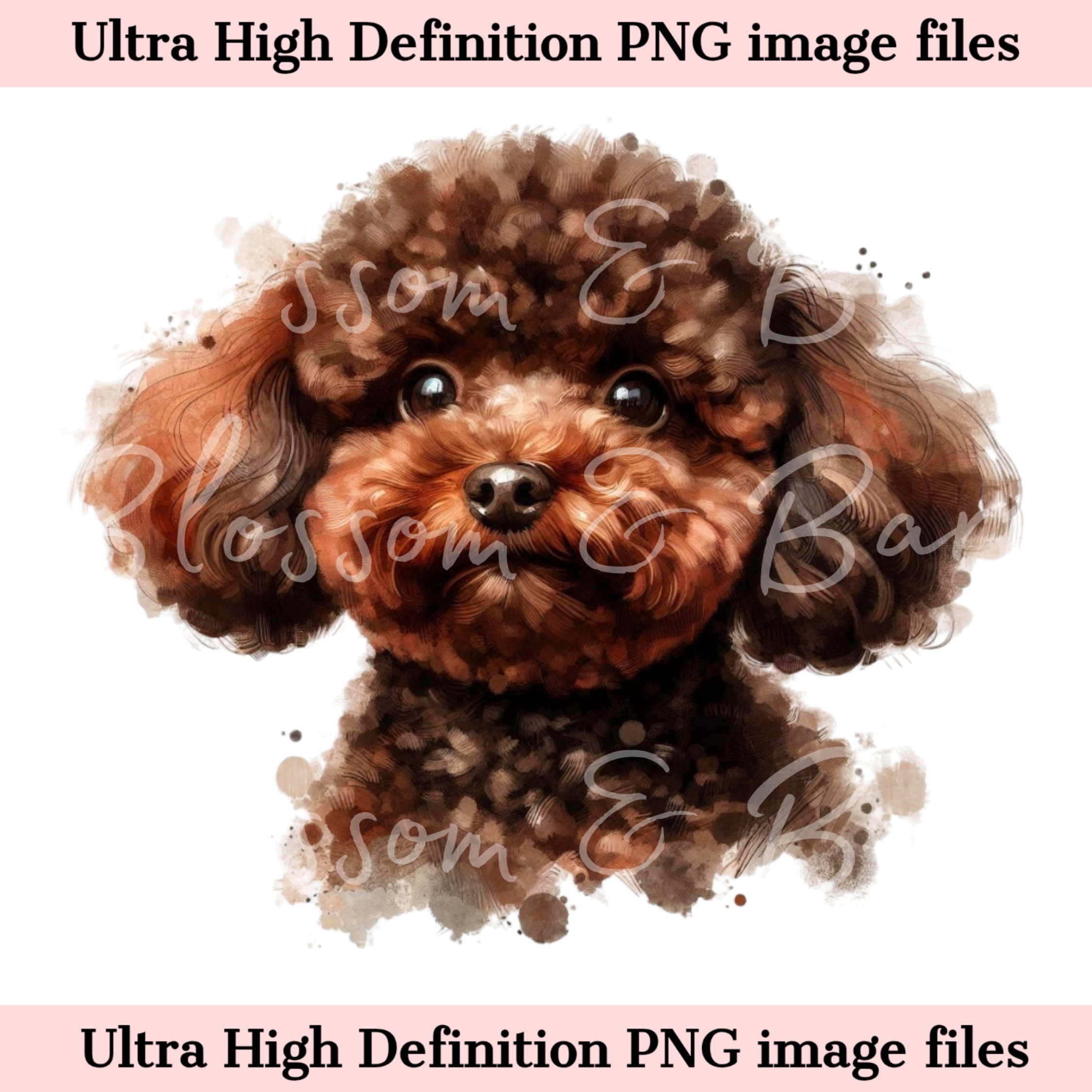 Digital Toy Pudel PNG Druckbares Hundeporträt PNG - Brauner Pudel Hund PNG  - Download für Hundemutter Shirt Sublimation - Sicher für den kommerziellen  Gebrauch - Etsy Österreich, image size:2250x2250