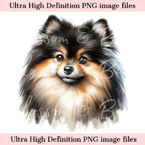 Poméranie numérique PNG belle noir et feu Spitz PNG - chien Art PNG - téléchargement pour sublimation de chemise de maman chien de Poméranie - usage Commercial