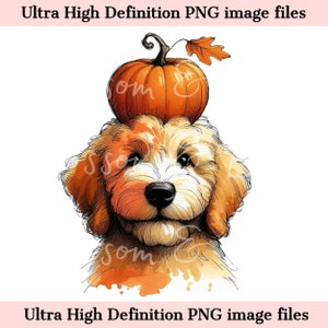 Digitale Goldendoodle PNG Herbst Hunde Porträt PNG - Download für niedlichen Doodle Hund Mama Kürbis Shirt Sublimation - Sicher für kommerziell