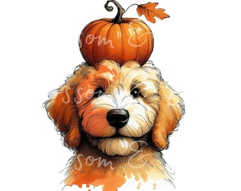 May include: A watercolor illustration of a brown and white dog with a pumpkin on its head. The dog is looking at the camera with a happy expression. The pumpkin is orange and has a green stem and a leaf.