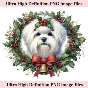 Digitale Weihnachten Malteser PNG Urlaub Hund Kunst - Süßer Hund Weihnachten PNG Sofortiger Download Maltesische Hundemutter Ornament und Shirt Sublimation PNG