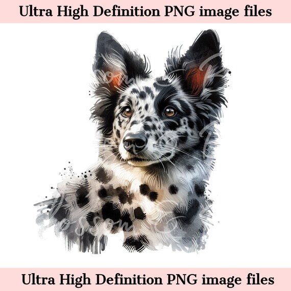 Digital Merle Mudi PNG Printable Dog Portrait PNG Herding Dog
