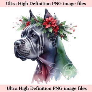 Cane Corso digital PNG Navidad Acuarela PNG - Vacaciones PNG - Descarga para sublimación de camisetas de mamá de perro mastín italiano - Seguro para uso comercial