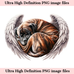 Digital Brindle Cane Corso PNG Dog Memorial PNG - Retrato de mascota con alas de ángel PNG Descarga instantánea para el funeral de Angel Dog - Sublimación png