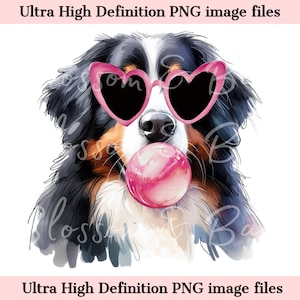 Digital Berner Sennenhund PNG Bubblegum Hunde Porträt PNG - Download für Herzbrille Sennenhund Shirt Sublimation, sicher für kommerziell