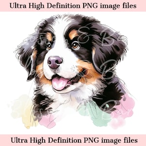 Digitaler Berner Sennenhund PNG Aquarell Hundeporträt PNG - Download für süße Berner Welpen Mama Shirt Sublimation - Sicher für kommerziell