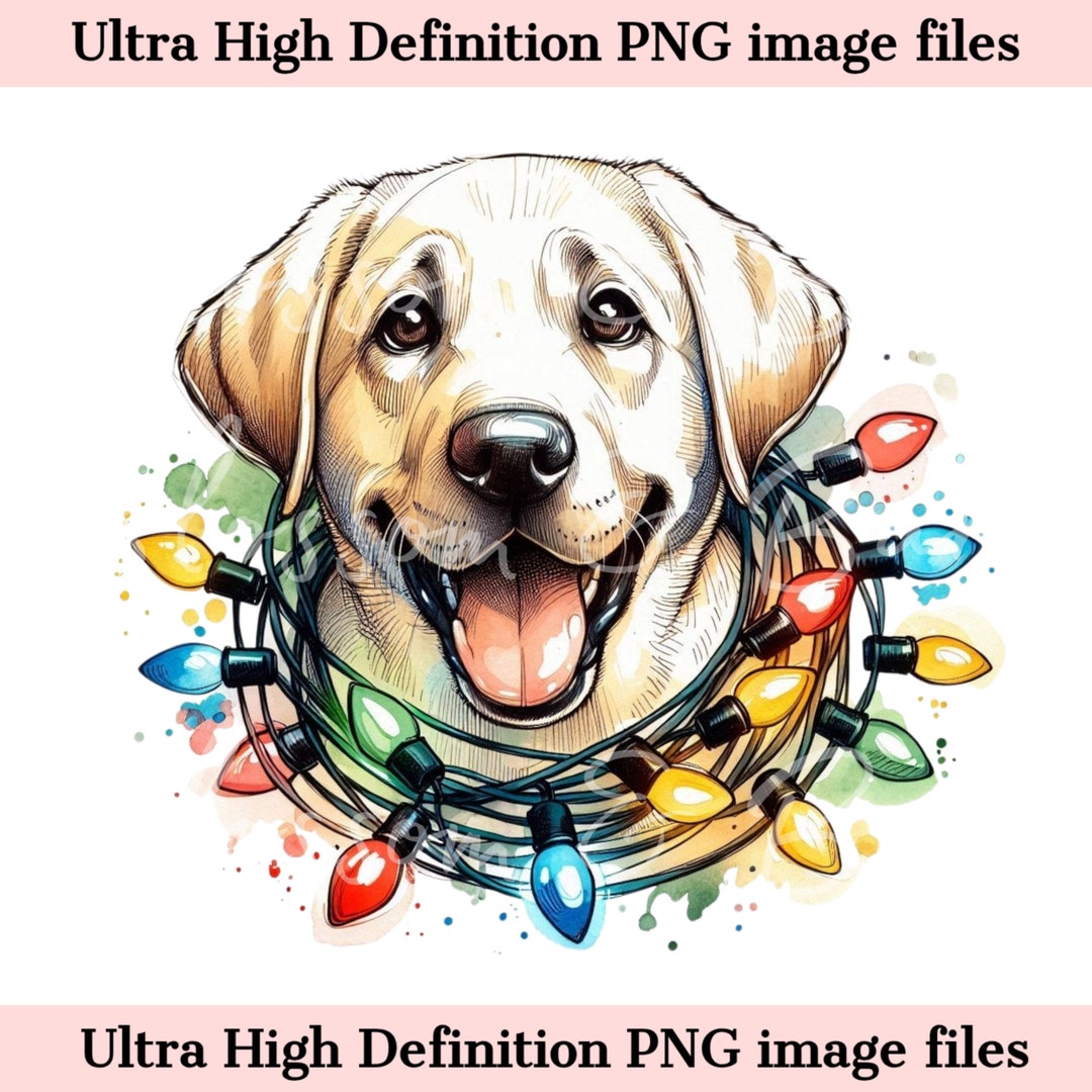 Digital - Cute Yellow Labrador PNG Christmas Dog Portrait PNG ...