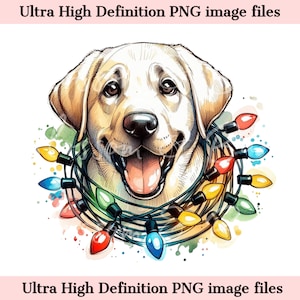 Digital - Lindo Labrador amarillo PNG Retrato de perro navideño PNG - Descarga para luces navideñas de mamá perro labrador Camisa navideña de mamá labrador