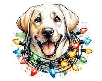 Digital - Lindo Labrador amarillo PNG Retrato de perro navideño PNG - Descarga para luces navideñas de mamá perro labrador Camisa navideña de mamá labrador