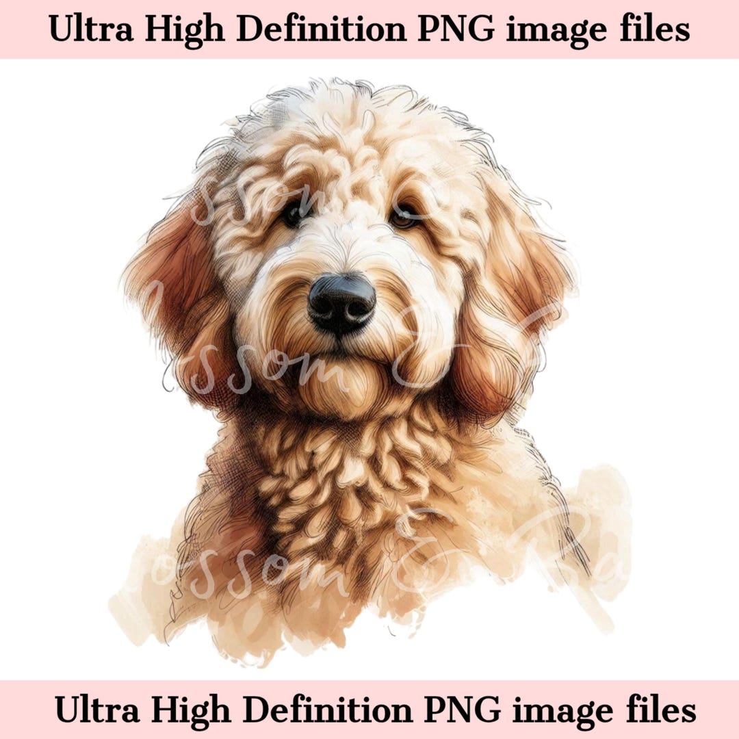Digital Goldendoodle PNG Doodle Dog PNG - Watercolor Labradoodle PNG ...