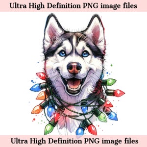 Digital - Cute Husky PNG Weihnachten Siberian Husky Hund Portrait PNG - Download for Husky Mom Xmas Lights Christmas Shirt Sublimation