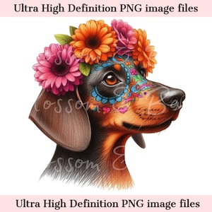 Digitaler Brauner Dackel PNG Tag der Toten - Dia De Los Muertos Hund PNG Download für Halloween Doxie Shirt Sublimation Sugar Skull