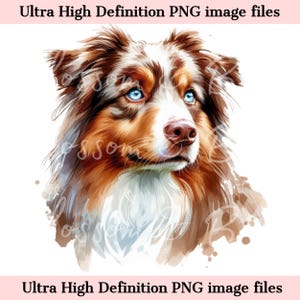 Retrato de perro acuarela PNG de pastor australiano digital - Descarga para sublimación de camiseta de mamá de perro australiano merle rojo - Seguro para uso comercial