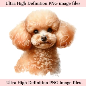 Portrait numérique de chien imprimable numérique de caniche toy PNG - chien caniche rouge PNG - téléchargement pour sublimation de chemise de maman de chien - sans danger pour un usage commercial