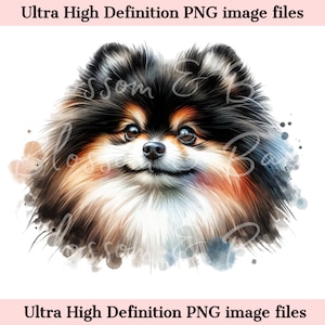 Numérique Pomeranian PNG Beautiful Spitz Dog PNG - chien Art PNG - téléchargement pour sublimation de chemise de maman chien de Poméranie - sans danger pour un usage commercial