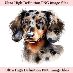 Dachshund digital PNG Perro Dachshund PNG - Doxie PNG - Descargar para cabello largo Merle Doxie Perro Mamá Camiseta Sublimación - Seguro para Comercial
