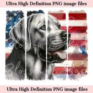 Puede incluir: Una ilustración digital de la cabeza de un Labrador Retriever plateado con un fondo de bandera estadounidense de acuarela. La lengua del perro está fuera y la bandera está descolorida y tiene un efecto de acuarela.