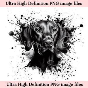 Perro Vizsla PNG - Descarga instantánea para sublimación de camisetas de perro Vizsla, cachorro grafiti PNG, boceto de retrato de perro de caza